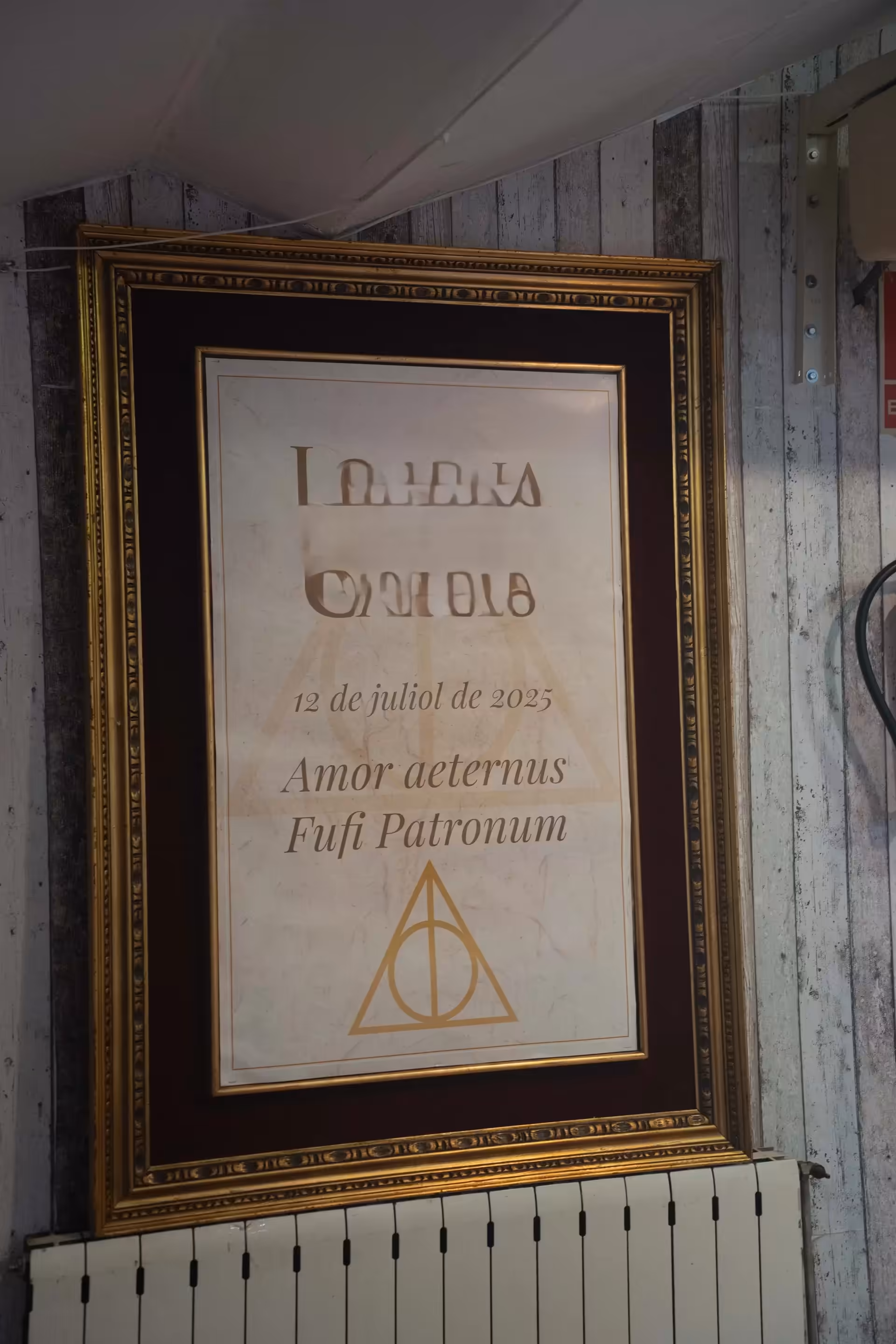 Món Màgic — Òrbita Events